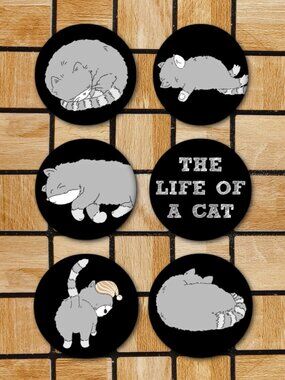 Life Of A Cat Fridge Magnets Set Of 6 Metal Magnets For Home Office Kitchen